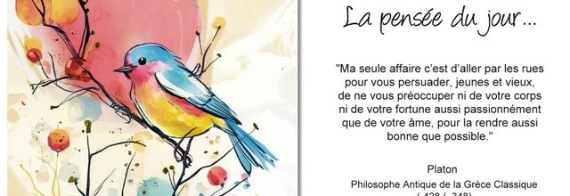 La pensée du jour (259)