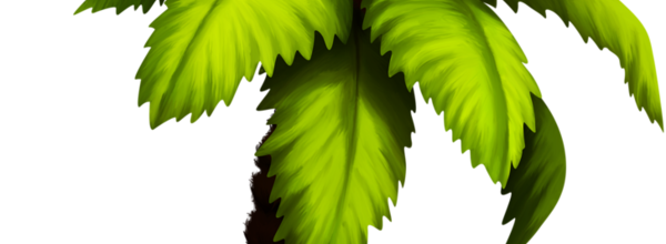 ѼVegetation