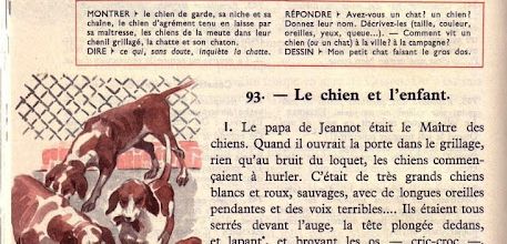 Semaine 24 Chien et chat