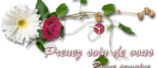 Balade à la roseraie de Saverne