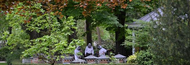 Visiter le Jardin du Luxembourg : Le rucher-école