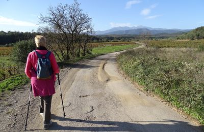 Les Coteaux de Terrats depuis Terrats 