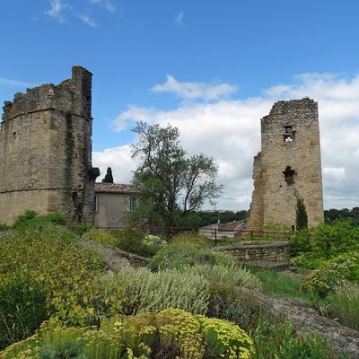 La Boucle de l'abbaye de Villelongue à Saint-Martin-le-Vieil.