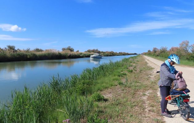 les oiseaux près de la Tour Carbonnière