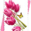 Cartonnettes et MP Tulipes d'Avril ! 2016