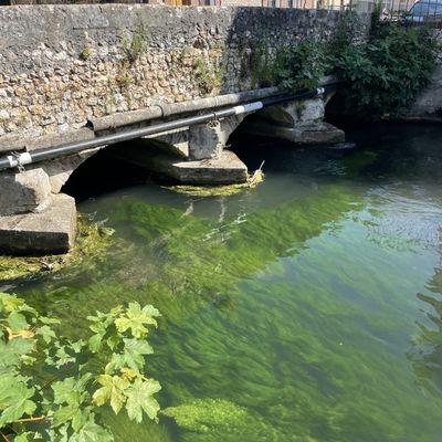 mercredi de vacances de margaux
