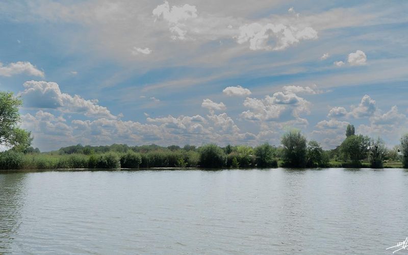 La Truchère ... pour un bon bol d'air  (1)