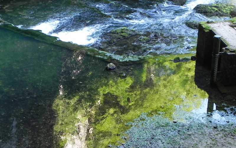 mes reflets sur le Lison