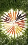 Faire cuire des carottes