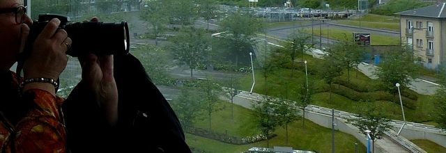 Metz / Des millions de coquelicots à l’Amphithéâtre...