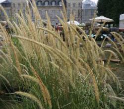 St Jean de Beauregard : de belles couleurs