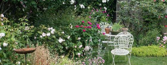 La mémoire des roses