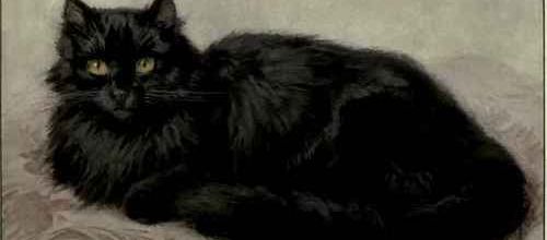 Tableau du samedi 13 : Chat noir