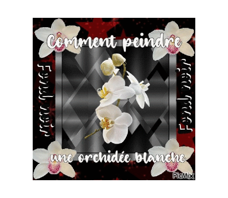 Dessin et peinture - vidéo 4493 : Comment peindre une orchidée blanche sur fond noir ? - huile, acrylique.