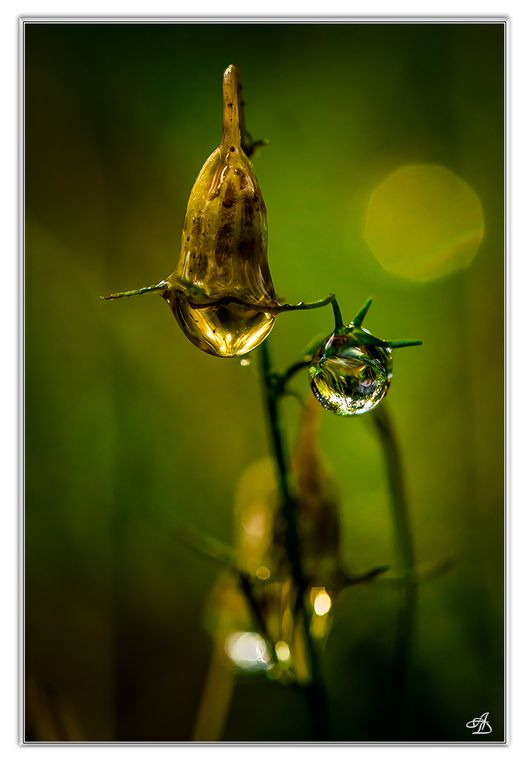 02 - Gouttes d'eau