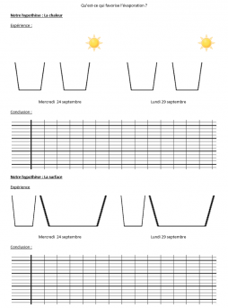 Evaporation : feuille d'expérience
