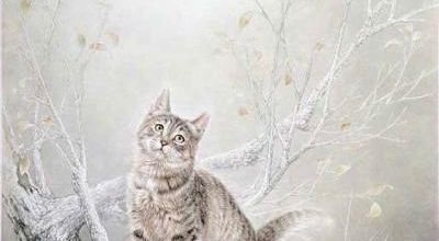 Tableau du samedi : Chat de Xing Chengai