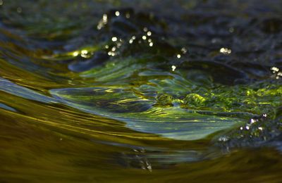 Tabl'Eau