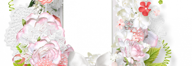 ☻Frame cluster①