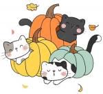 Malle automne hiver 03