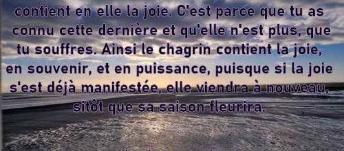 Citation extraite de "Le Maître de l'Océan" de Diane Ducret 