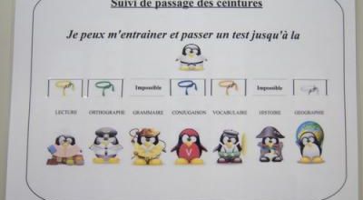 Leçons et passage des ceintures