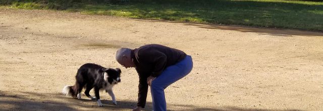 un beau moment avec un chien