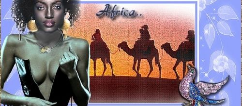 Défi Africa , forum Hénoa 