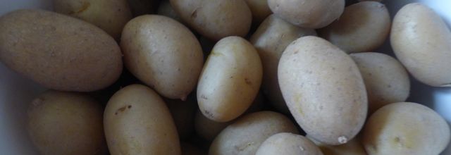 bon mardi a vous tous