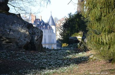 Un air de printemps : Le perce-neige