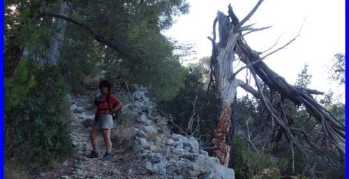 Destel, le chemin du Patrimoine