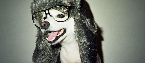J'ai été tagguée ! Mais qu'est ce qu'un tag me direz-vous ?