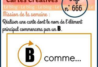 Passion Cartes Créatives#666 et Challenge Scrap&Co !