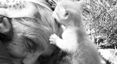Le cerveau d'une personne âgée