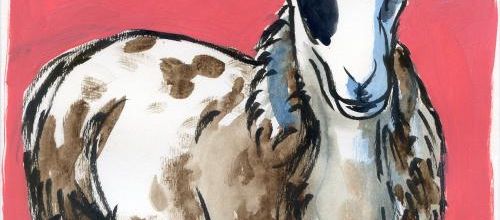 L'année du mouton