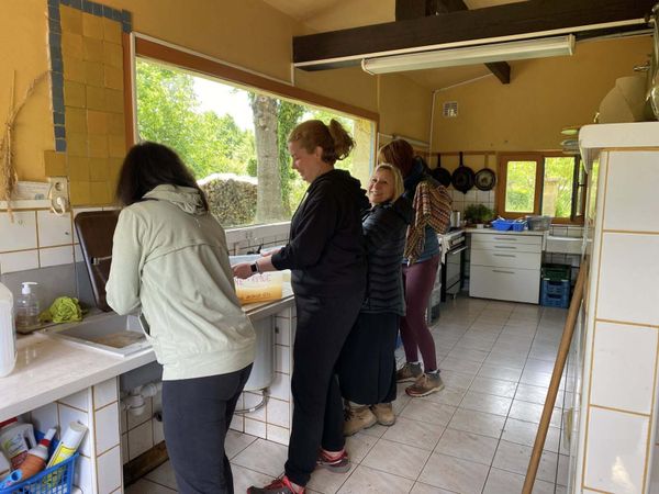 Stage immersif &quot;Yoga et méditation&quot; en Meuse