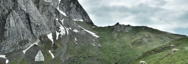 Sur la route du Tourmalet (65)