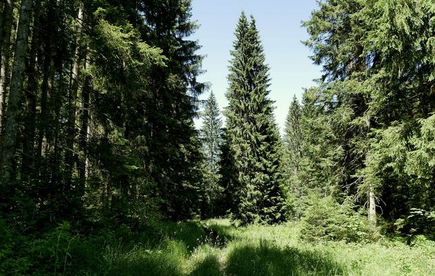 Le 26 juin 2023 : La Prairie
