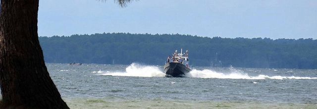 Parentis en Born  - 2 