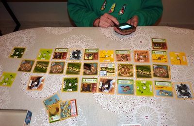 Parties du second confinement (4)