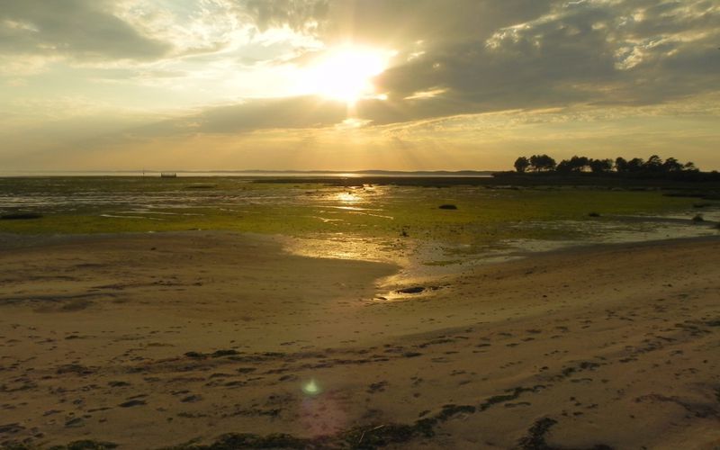 Couchers de soleil à Andernos 33