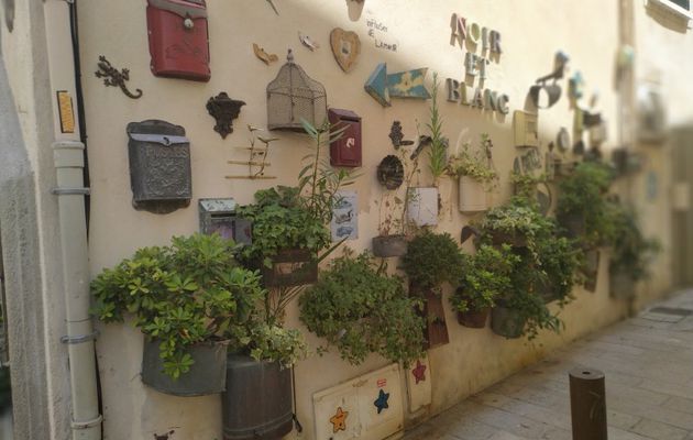 SAINT-REMY-DE-PROVENCE (Bouches-du-Rhone - 13)