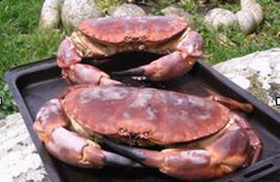 Notre gourmandise du 15 Août 2014 !