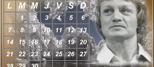 Le CALENDRIER du mois 