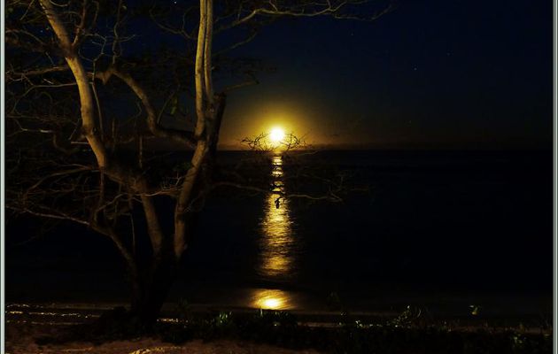 Lever de Lune sur Anse Forbans - Mahé - Seychelles