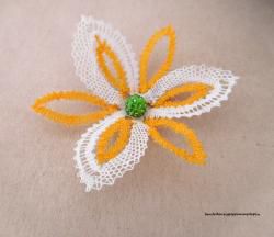 Fleur d'hiver