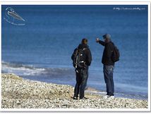 Balade en bord de mer...