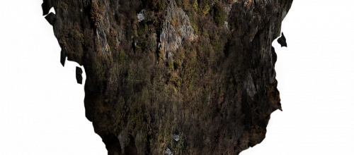 Ѽ Vegetation 