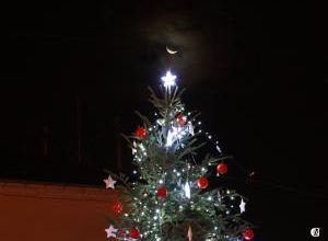 Le sapin et la Lune