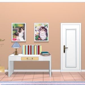  photo Amajeto Cat Swap Escape.jpg